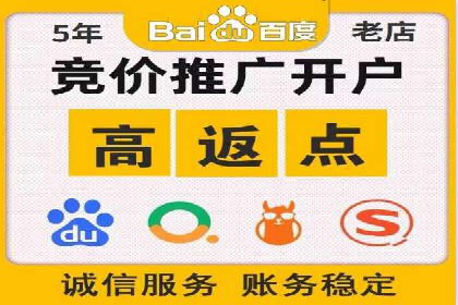 搜索引擎营销（SEM）的精准投放技巧案例